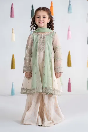 3 Piece Embroidered Cotton Net Suit | MKS-EA24-17